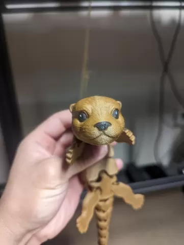 Baby Otter