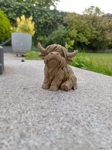 Chonky Highland Cow – Shaggy Horned Cutie