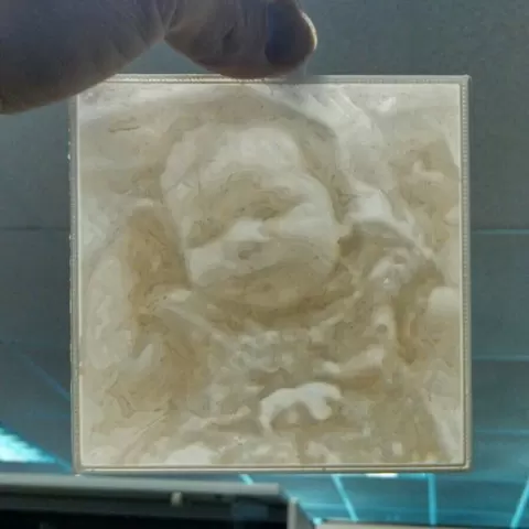 Eli Perkins Lithopane