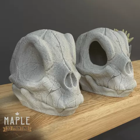 Charmander Skull - Pokemon - Support Free