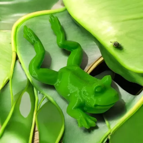 Frog on belly - Motek3D