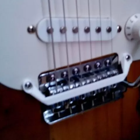 Saddleguard for stratocaster