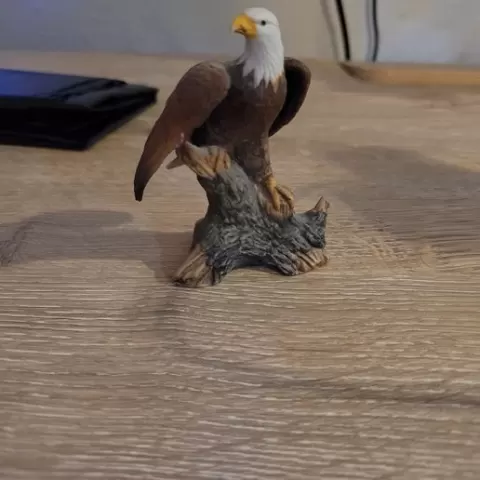 Eagle On Rocks