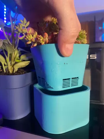 Self Watering Planter