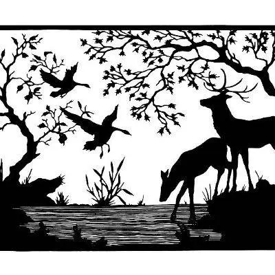 dear,duck,Forrest - Danu Pubudu