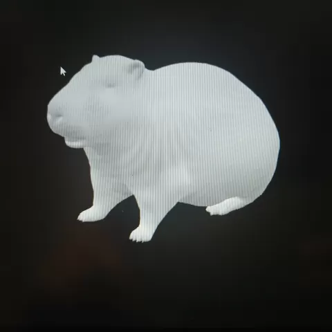 capibara - merche