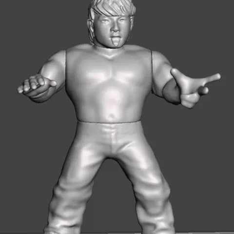 wwf wwe aew ecw wcw