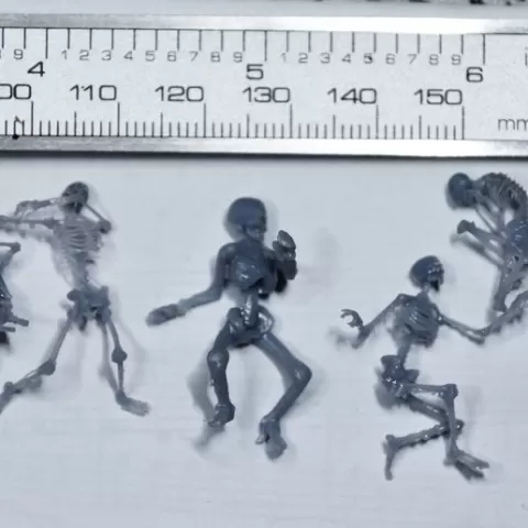 Rigged skeleton