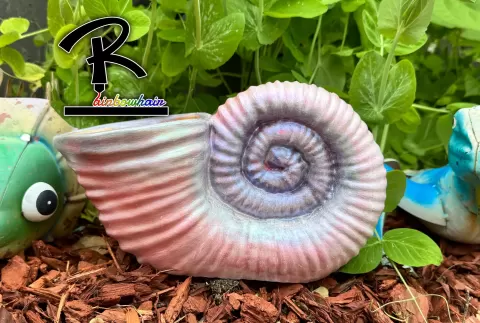 Shell holder - Rainbowhair Designs
