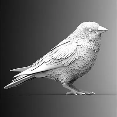 bird 01 3D print model
