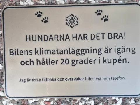 Hundarna har det bra!