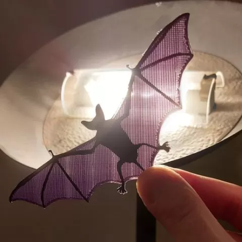 !!! Bat!!!
