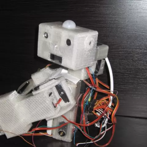 Howme the robot