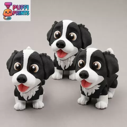 Flexi Border Collie