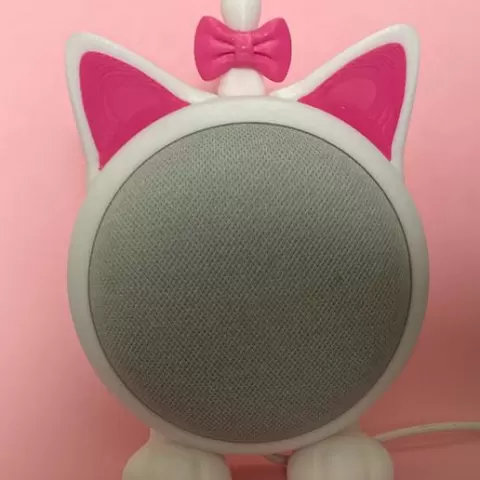 Google home mini standard