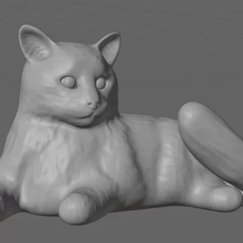 cat lounging