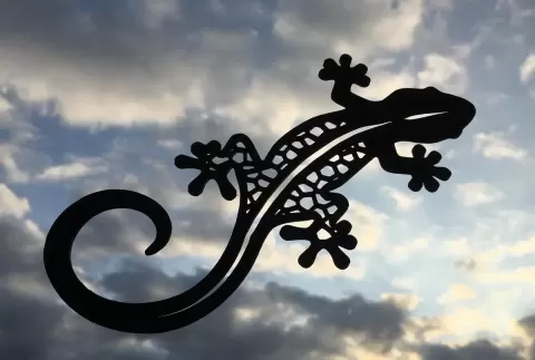 Salamander silhouette