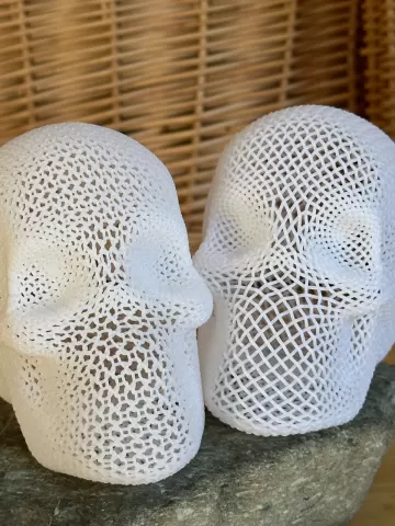 Lattice Skull Wire Tangle