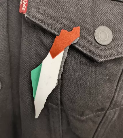 Palestinian Map Flag Pin