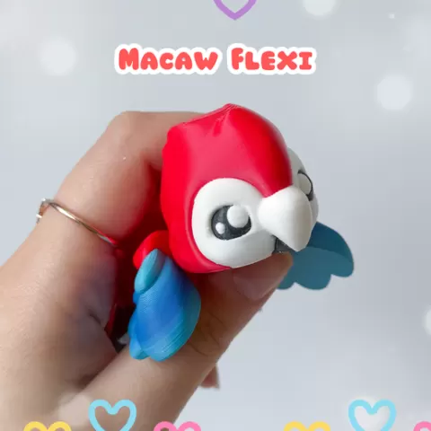 Macaw Flexi