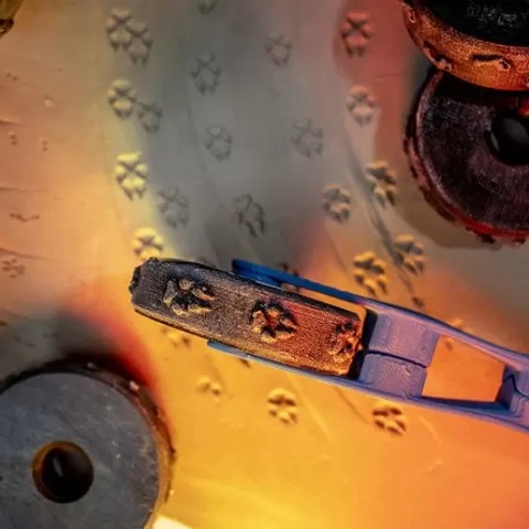 Texture Clay Wheel - Wolf Tracks