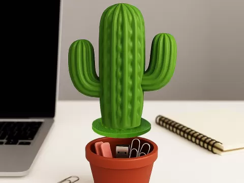 Cactus Organizer Decor