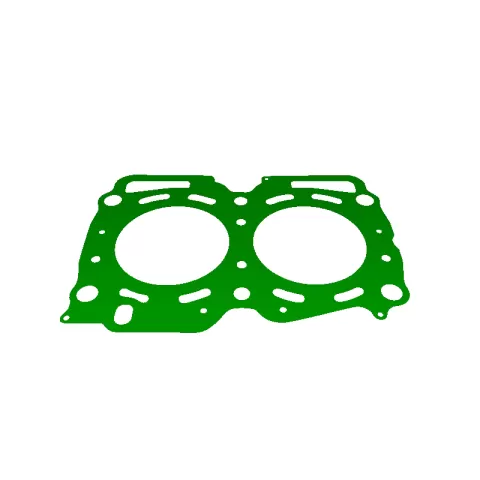 Big gasket