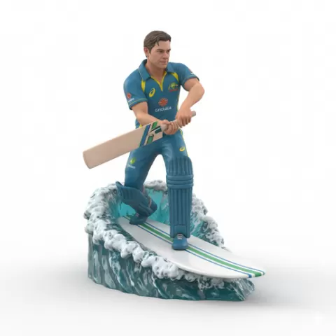 David Warner attacking surfing, cricket player, cricket athlete, batsman, bowler, cricket sport, bat and ball sport, surfing athlete, wave riding