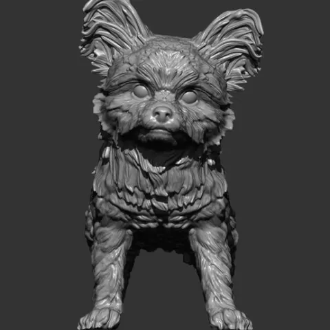 Yorkshire terrier 3D print model