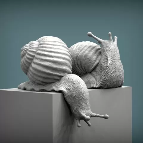 Snail 3D print model