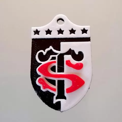 Rugby TS key ring