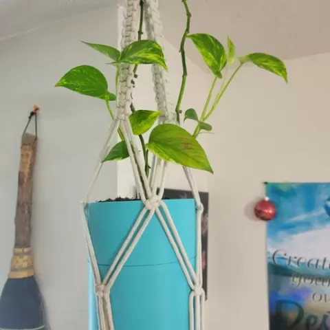 Bottom fed Planter