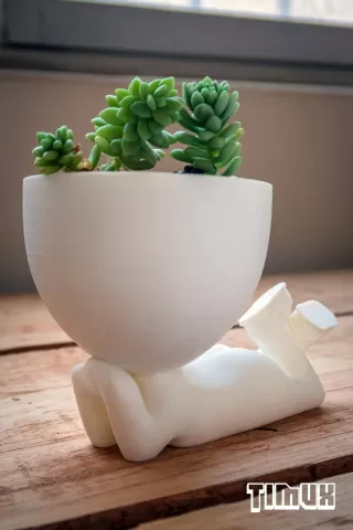 ROBERT PLANT POT LYING DOWN WITH SHOES
