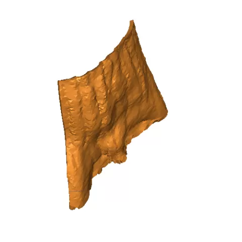 Tree1.2 - JMeyer86