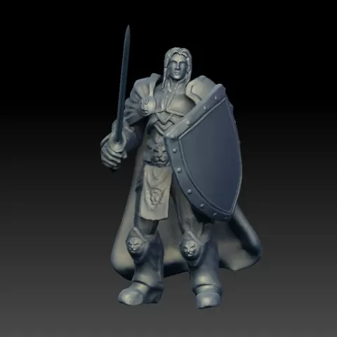 Paladin miniature for DnD