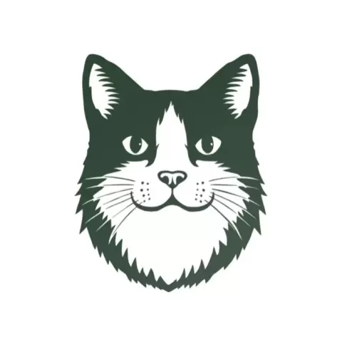 Wall art - adorable paws