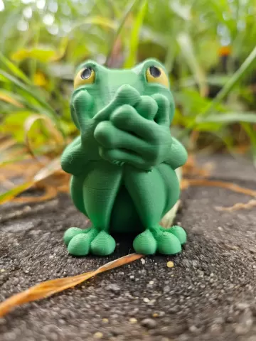 Speak No Evil Frog