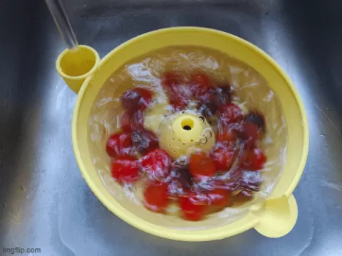 HydroSpinner Family Size Water Powered Fruit/Berry Washer