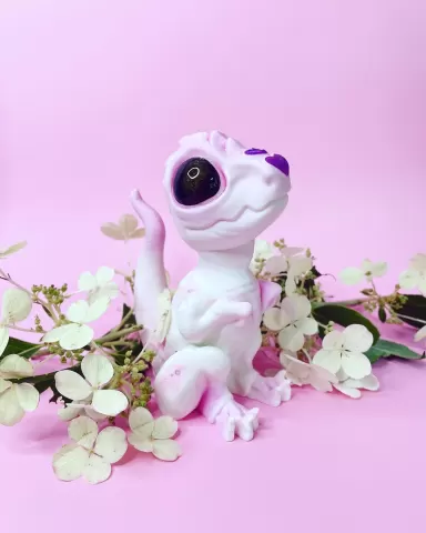 Raptor Baby