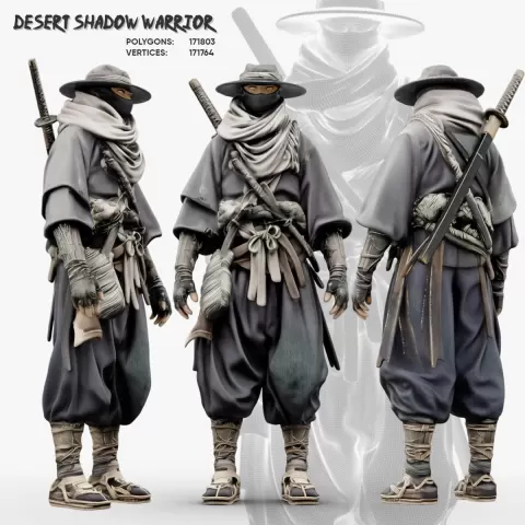 Desert Shadow Warrior