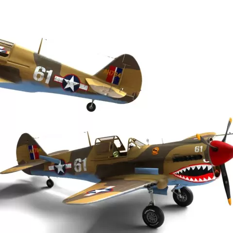 Desert Warhawk Fighter Aircraft