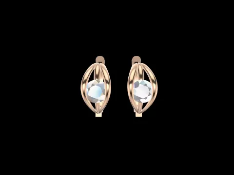 Hinged Designer Earrings - Christina3d
