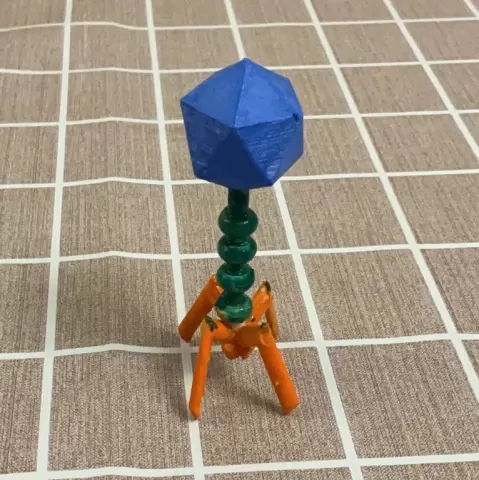 Bacteriophage-virus - Yuchen Lu 3d