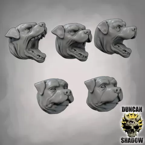 Rottweiler head set (Pre Supported) by Duncan Shadow