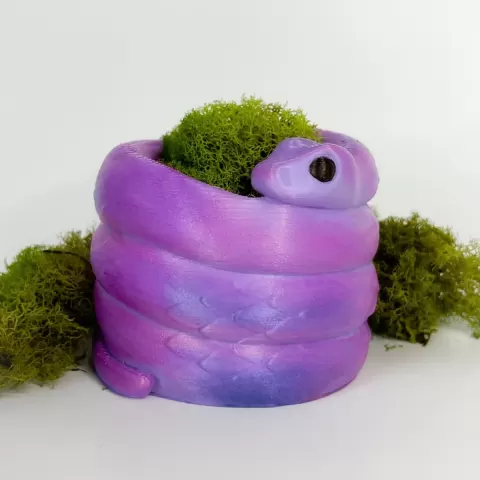 Snake Pot