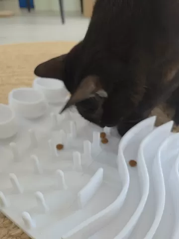 Katzen-Fummelbrett / Intelligenz-Spielzeug