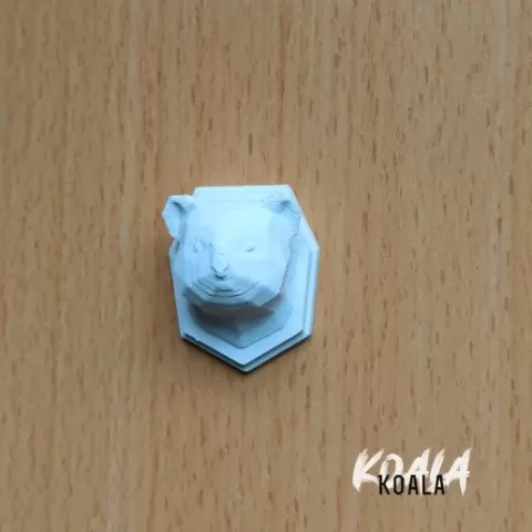 ZOOtrophy Koala