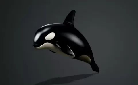 Orca - Xp96