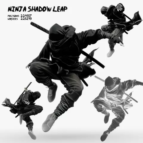 Ninja Shadow Leap