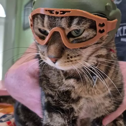 Cat Helmet ARMY by CLOV3D
